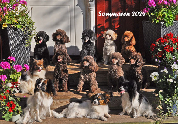 Skörpeskalets Kennel