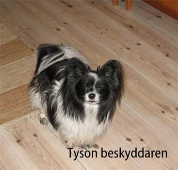 Tyson beskyddaren